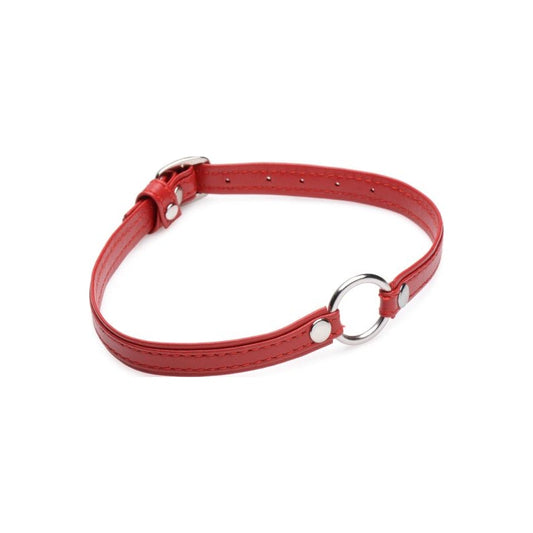 Fiery Pet Leather Choker w Silver Ring Red