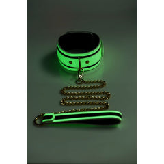 Glow in the Dark Glowing Collar and Lead Fluro Green