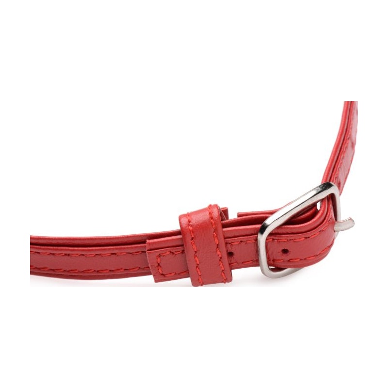 Fiery Pet Leather Choker w Silver Ring Red